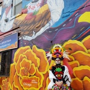 Meet your Posher, Yitlali